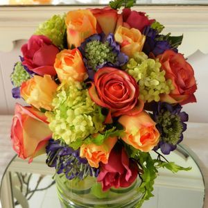 Meet your Posher, Patricia